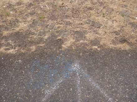 Hard surface trail transition to soft surface - painted arrow shows lip between the two surfaces